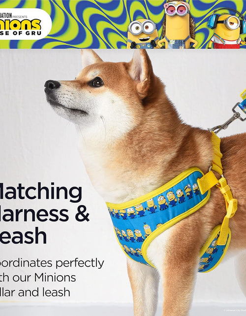 Load image into Gallery viewer, Dog Harness, Small, Blue  in a Row | Comfortable Mesh No-Pull Dog Harness| Gifts for  Fans and Their Pets | Officially Licensed Pet Product from Universal Studios
