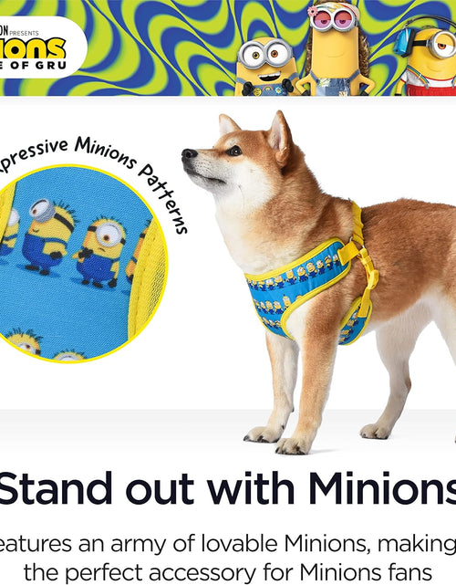 Load image into Gallery viewer, Dog Harness, Small, Blue  in a Row | Comfortable Mesh No-Pull Dog Harness| Gifts for  Fans and Their Pets | Officially Licensed Pet Product from Universal Studios
