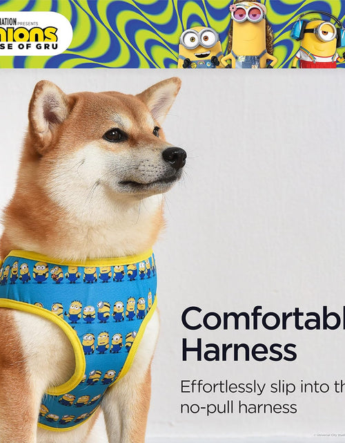 Load image into Gallery viewer, Dog Harness, Small, Blue  in a Row | Comfortable Mesh No-Pull Dog Harness| Gifts for  Fans and Their Pets | Officially Licensed Pet Product from Universal Studios
