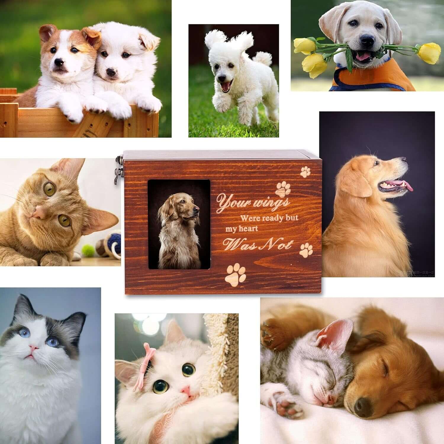 BZTSGJ Pet Urns for Dogs Cats Ashes, Loss Pet Memorial Remembrance Gift, Personalized Photo Frame Urns Wooden Pet Memorial Keepsake Cat Dog Memory Box with Black Flannel as Lining (118 Cubic Inches)